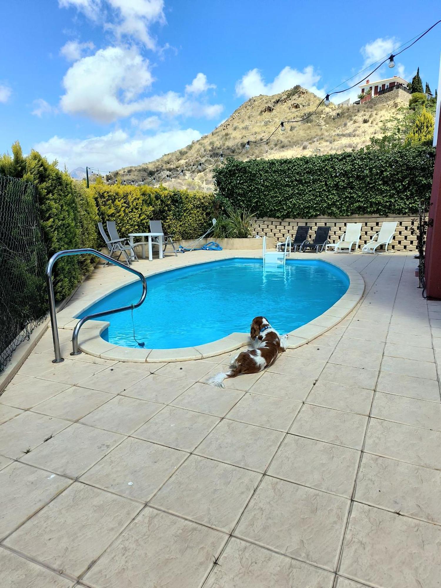 Villa Alicante - Bonalba Golf Mutxamel Ngoại thất bức ảnh